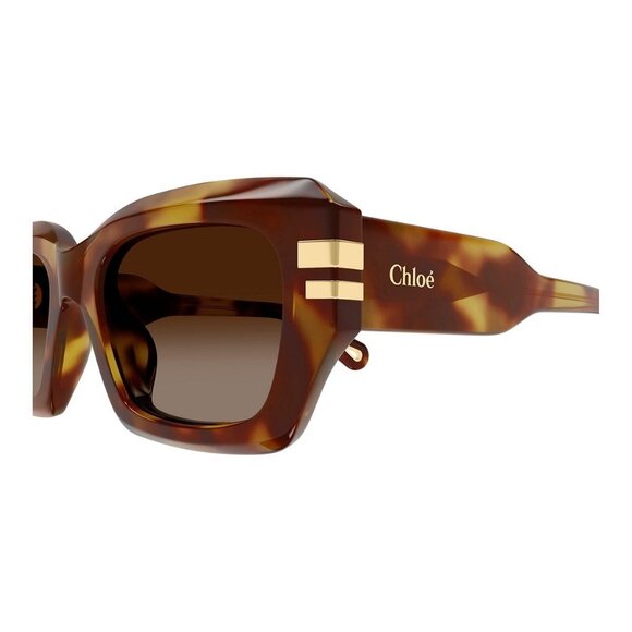 New CHLOE Havana Square CH0256S 002 Sunglasses Women - Picture 3 of 4